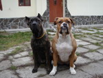 gal/Daisy Bona/_thb_DB 00.jpg